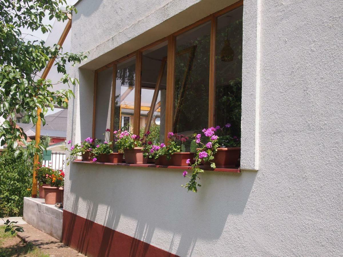 Deel Apartman Nyíregyháza Dış mekan fotoğraf